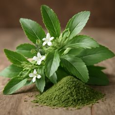 Cỏ ngọt thảo mộc thiên nhiên dùng tạo vị ngọt tự nhiên cho trà thảo mộc Lá Xanh.